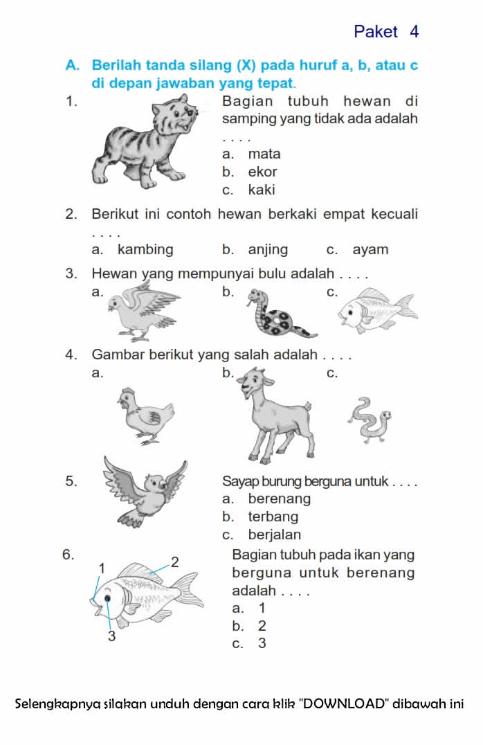 7 Rahasia Menguasai contoh soal bahasa indonesia kelas 3 bergambar semester 2 Sekarang!